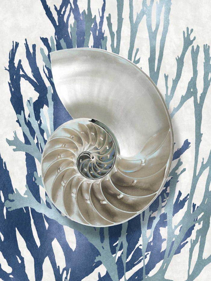 Shell Coral Aqua Blue II by Caroline Kelly