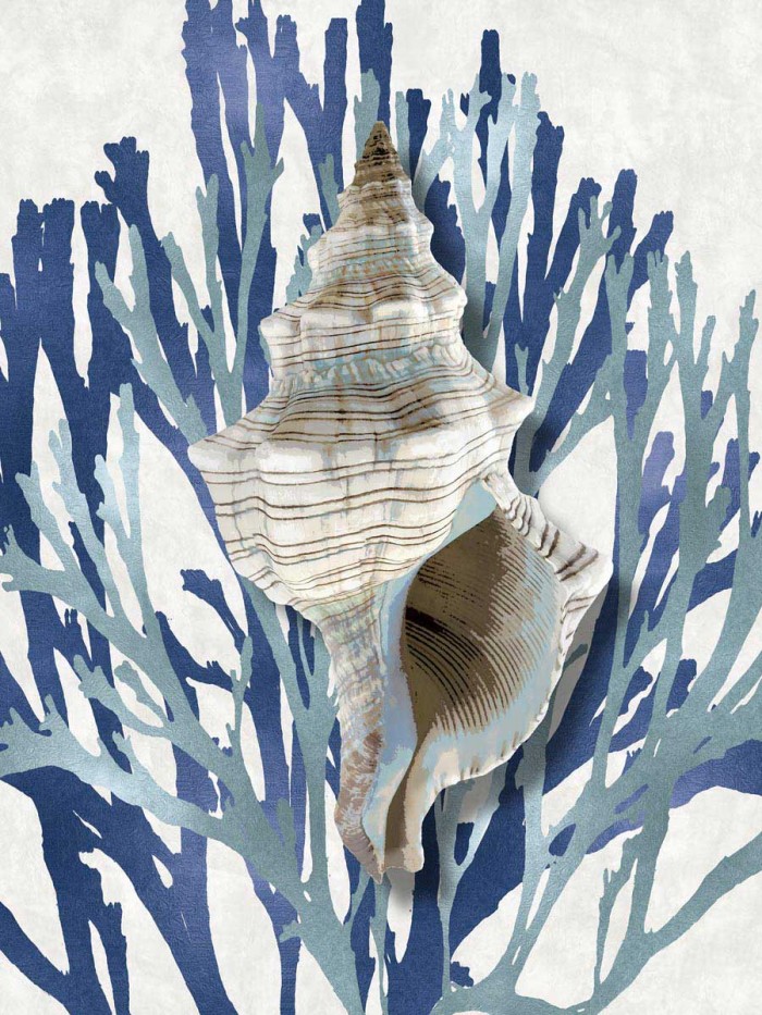 Shell Coral Aqua Blue III by Caroline Kelly