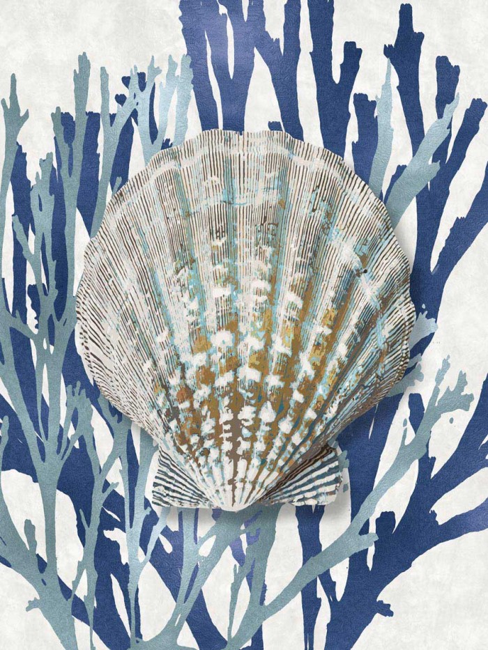 Shell Coral Aqua Blue IV by Caroline Kelly