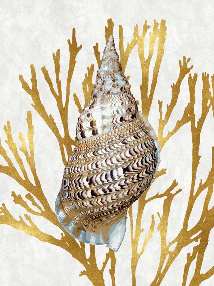 Shell Coral Gold I by Caroline Kelly