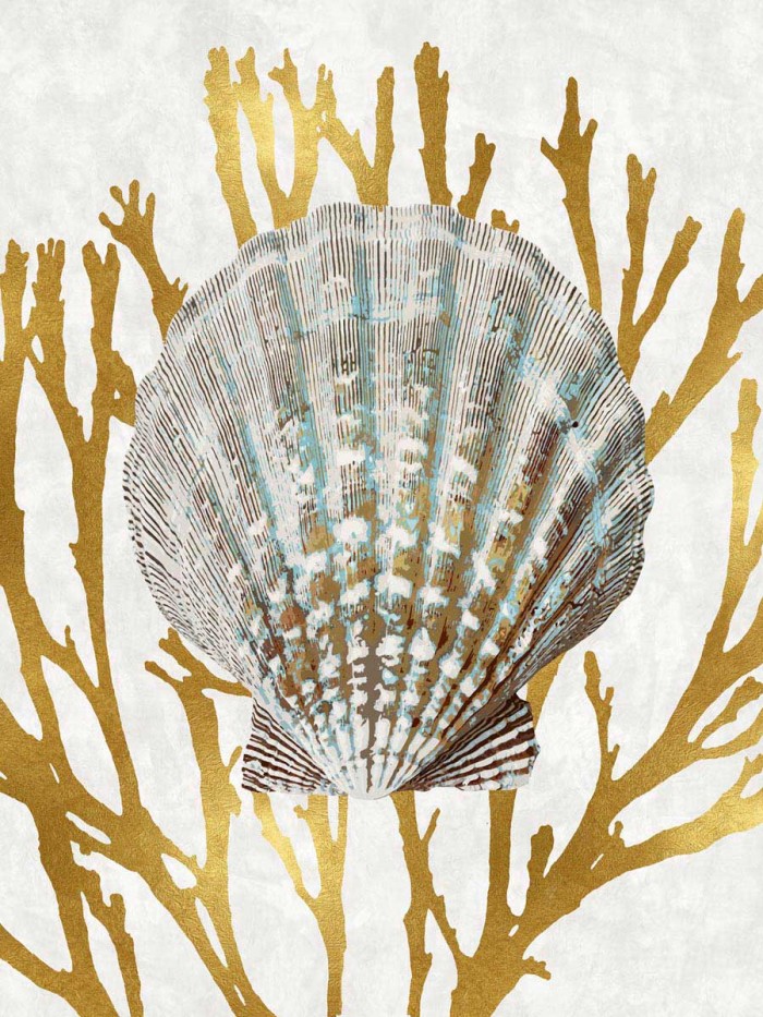 Shell Coral Gold IV by Caroline Kelly