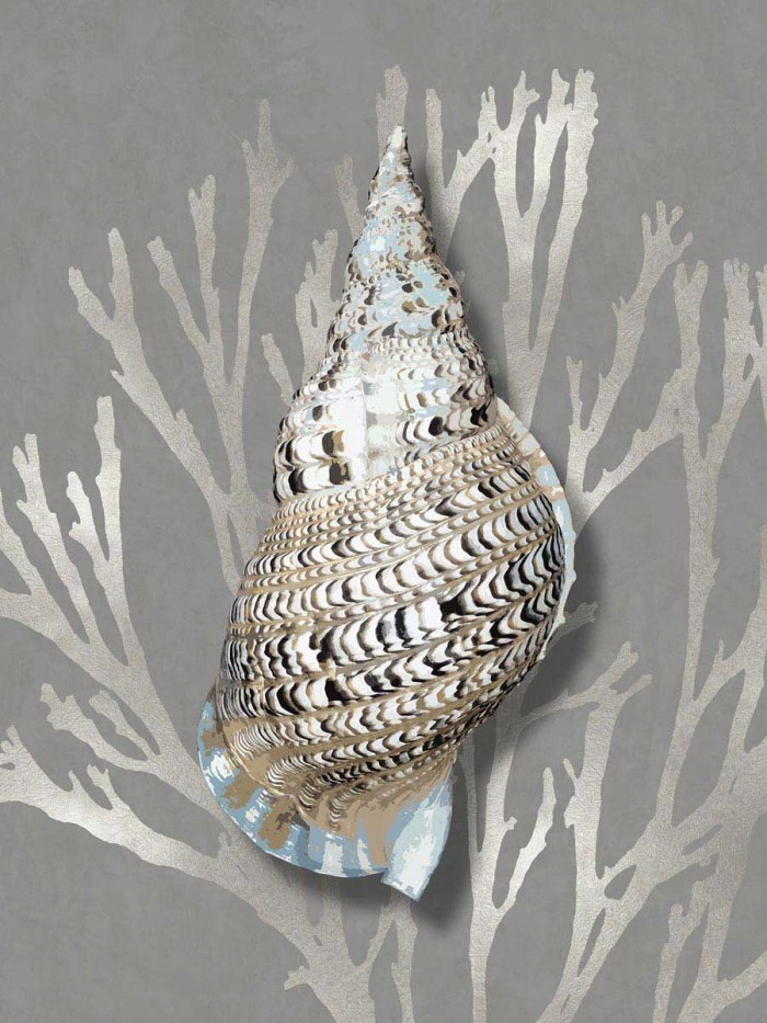 Shell Coral Silver on Gray I by Caroline Kelly