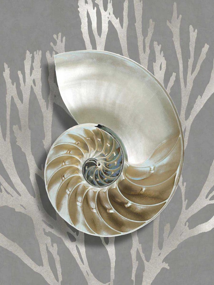 Shell Coral Silver on Gray II by Caroline Kelly