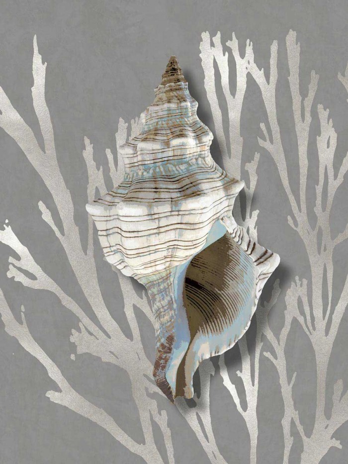 Shell Coral Silver on Gray III by Caroline Kelly