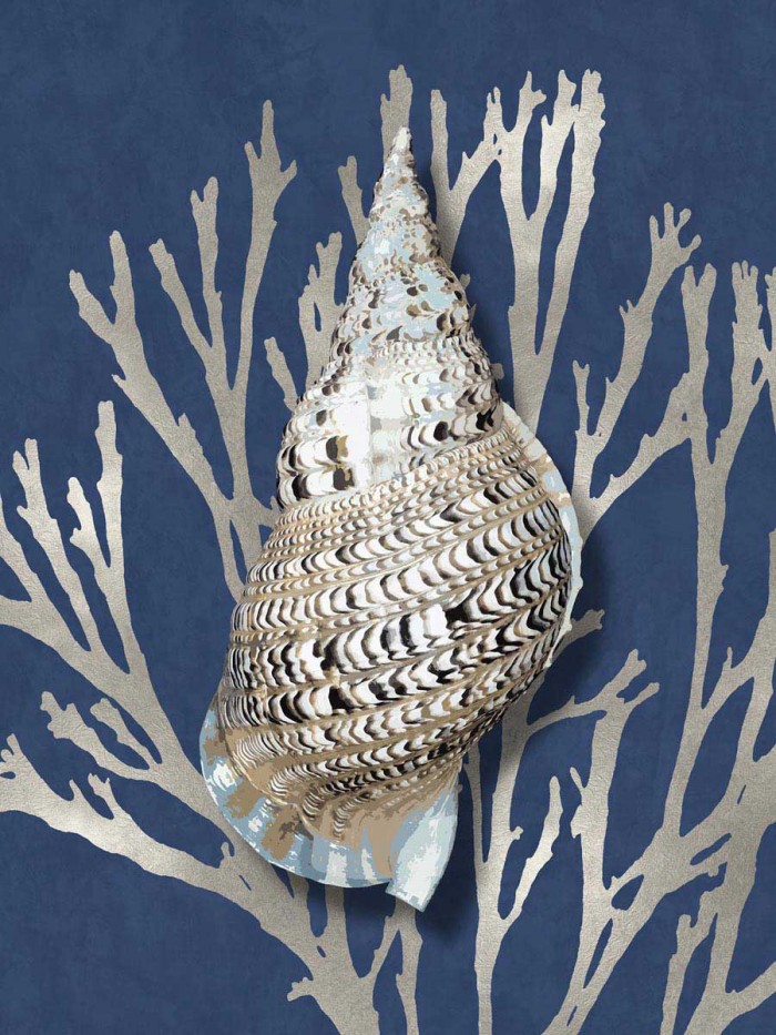 Shell Coral Silver on Blue I by Caroline Kelly