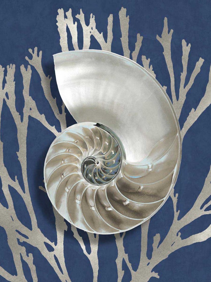 Shell Coral Silver on Blue II by Caroline Kelly