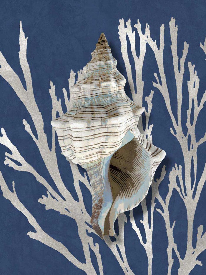 Shell Coral Silver on Blue III by Caroline Kelly