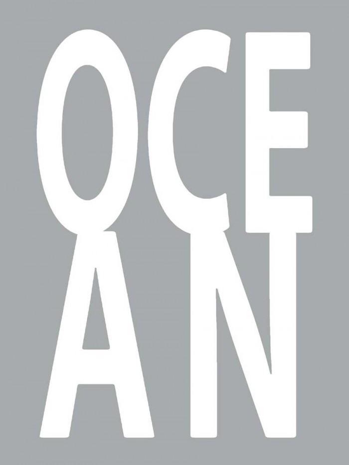Ocean Gray by Jamie MacDowell
