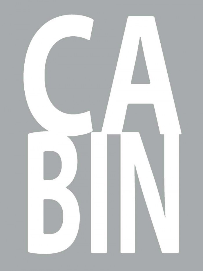 Cabin Gray by Jamie MacDowell