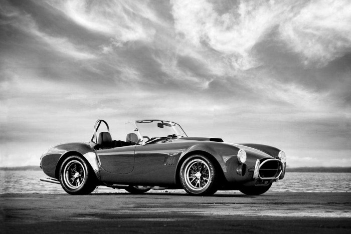 AC Shelby Cobra by Mark Rogan