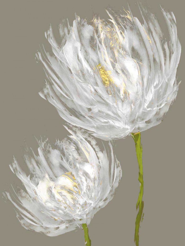 White Tulips II by Vanessa Austin