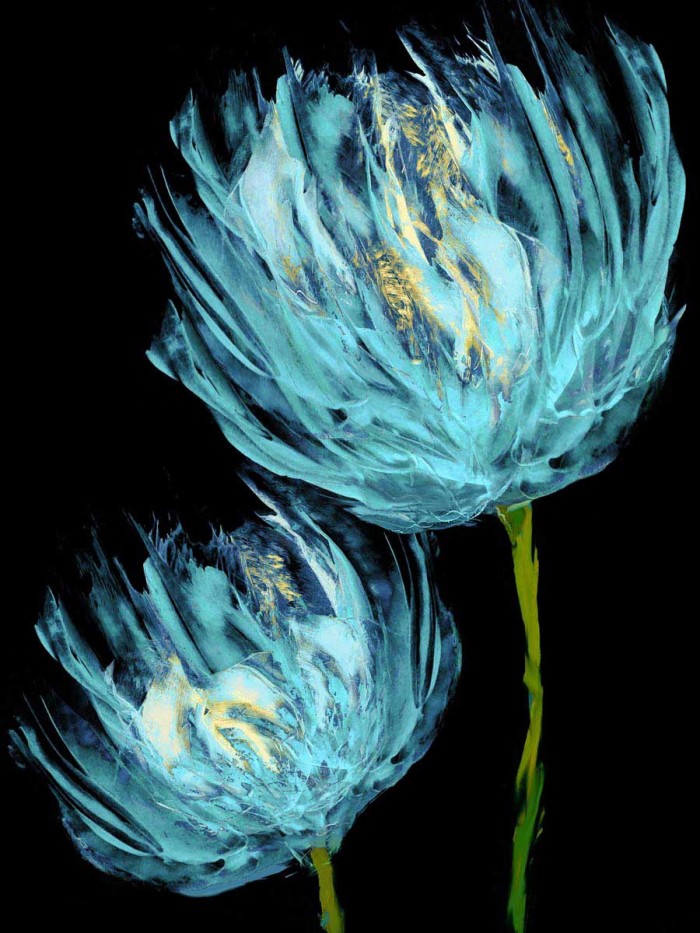 Aqua Tulips II by Vanessa Austin