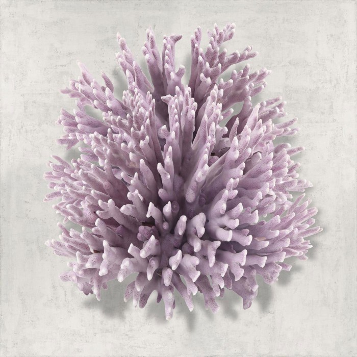 Coral Amethyst I by Caroline Kelly