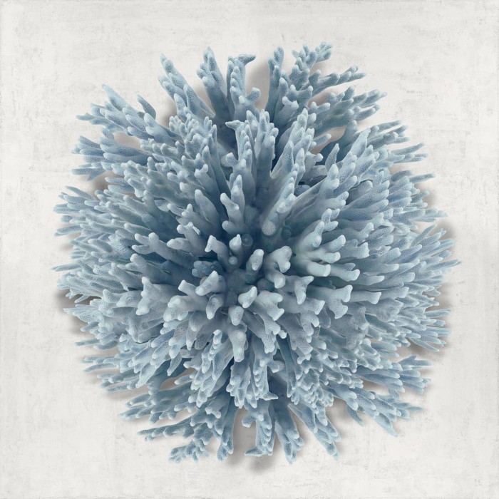 Coral Blue I by Caroline Kelly