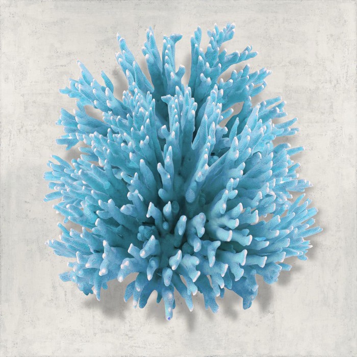 Coral Aqua I by Caroline Kelly