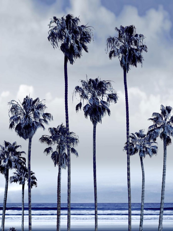 Beach Palms Indigo II by Devon Davis