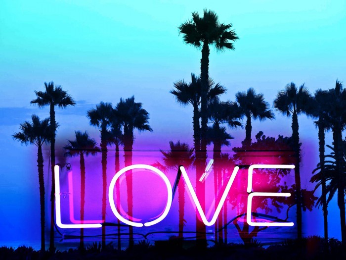 Neon Love Palms PB by Hailey Carr