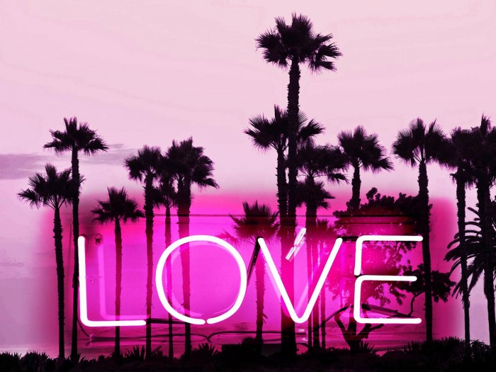 Neon Love Palms PB by Hailey Carr