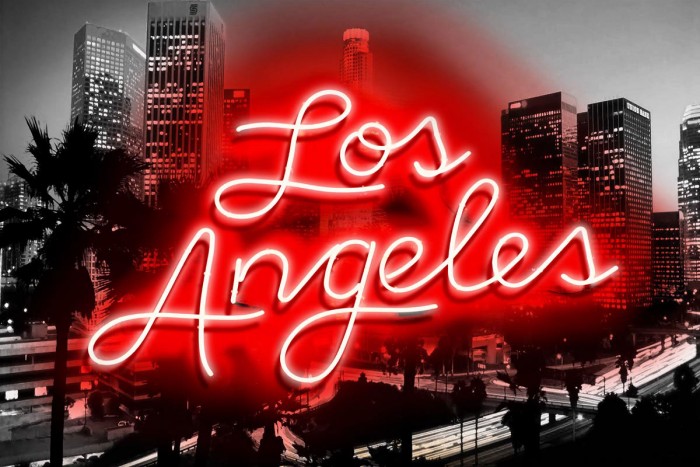 Neon Los Angeles RB by Hailey Carr