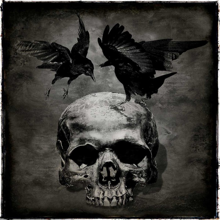 Skull with Crows by Martin Wagner