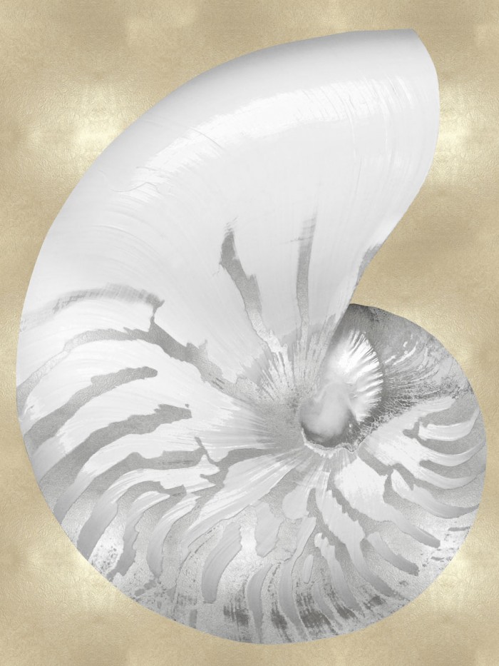 Silver Pearl Shell on Gold III by Caroline Kelly