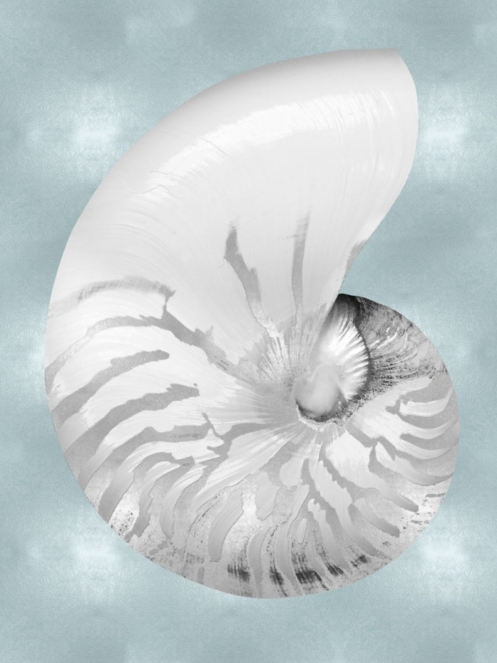 Silver Shell on Aqua Blue II by Caroline Kelly