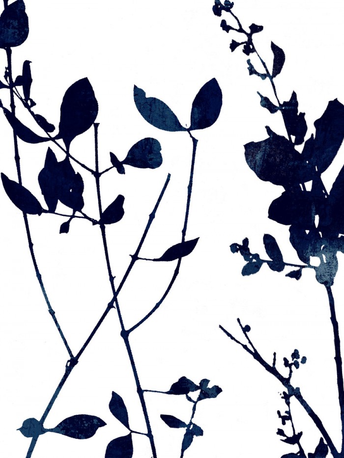 Nature Indigo Blue I by Danielle Carson
