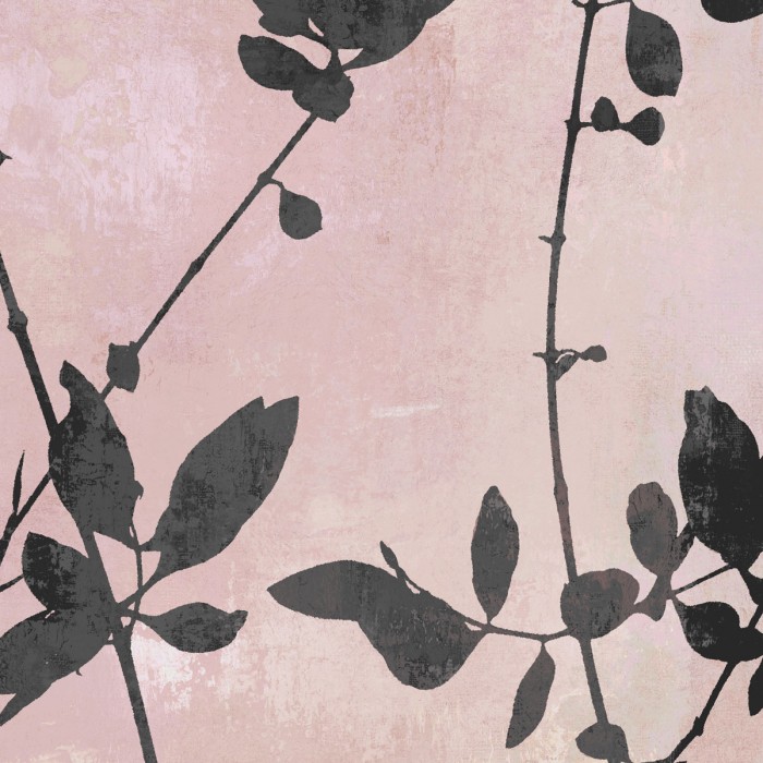 Nature Silhouette on Blush III by Danielle Carson
