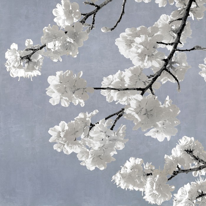 Blossoms on Blue II by Kate Bennett