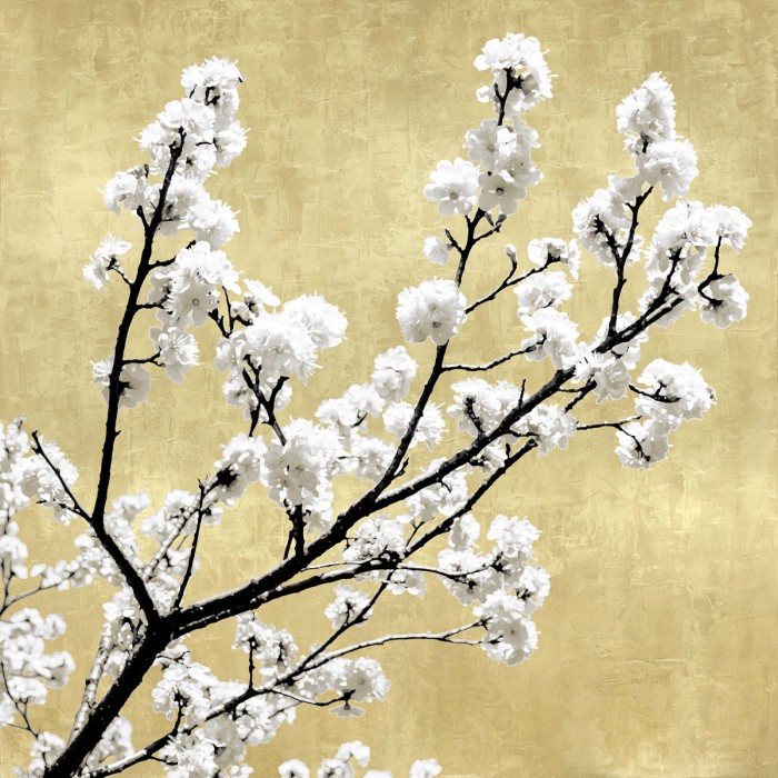 Blossoms on Gold II by Kate Bennett