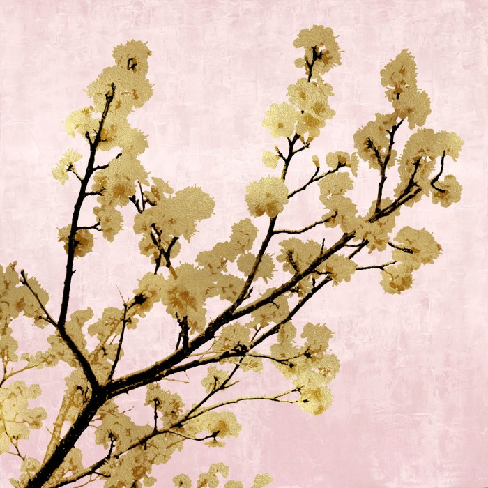 Gold Blossoms on Pink II by Kate Bennett