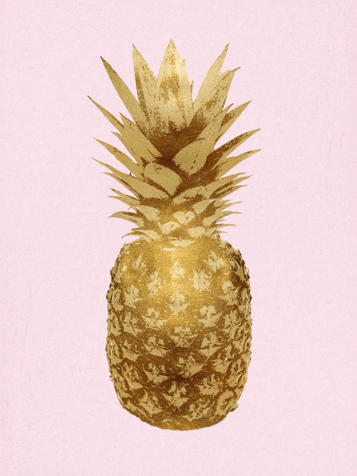 Pineapple Gold on Pink I by Kate Bennett