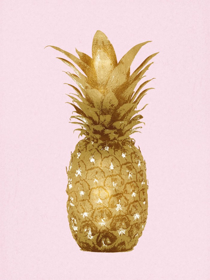 Pineapple Gold on Pink II by Kate Bennett