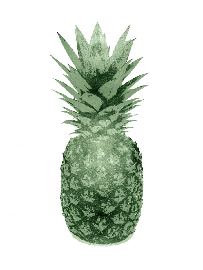 Pineapple Green II by Kate Bennett