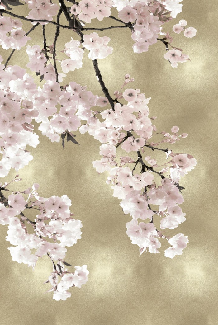 Pink Blossoms on Gold I by Kate Bennett