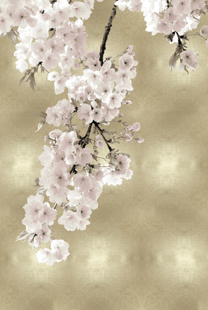 Pink Blossoms on Gold II by Kate Bennett