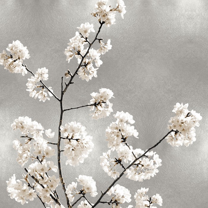 Silver Blossoms I by Kate Bennett