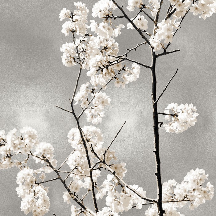Silver Blossoms II by Kate Bennett