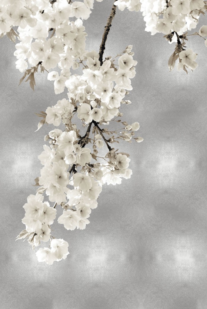 White Blossoms on Silver II by Kate Bennett