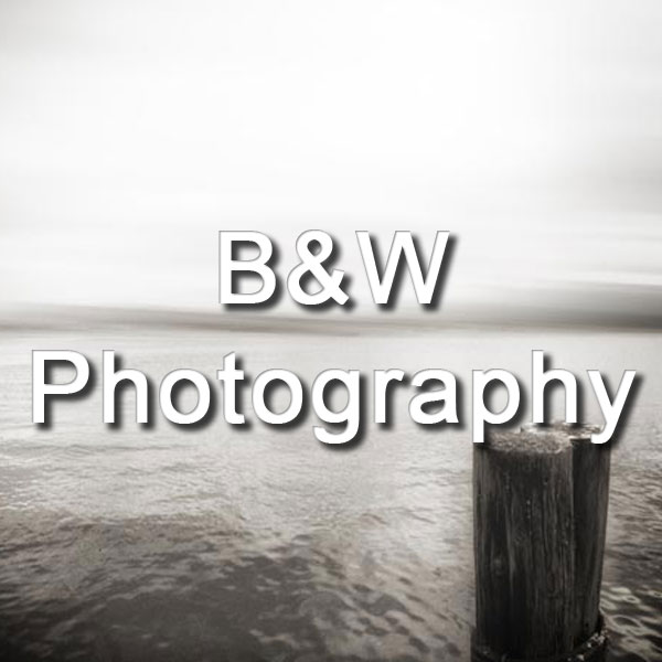 BW Photography