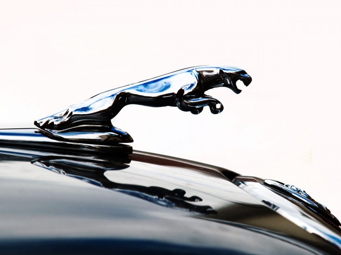 Jaguar hood ornament by Clive Branson