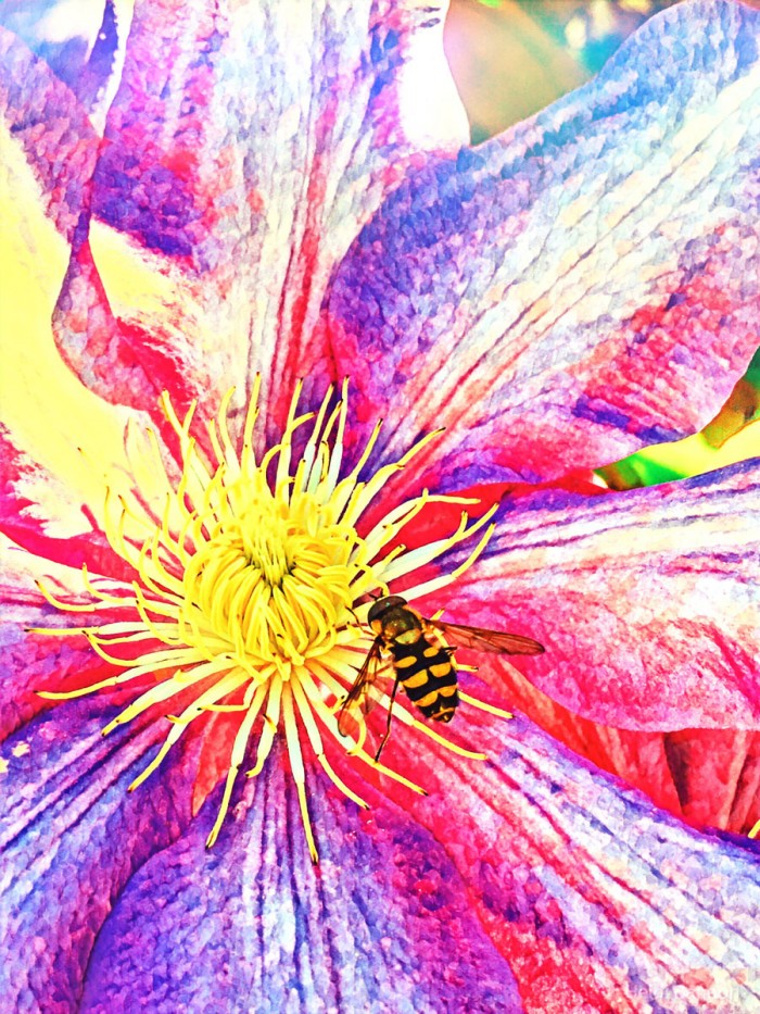 Happy Bee I by Heidi Bannon