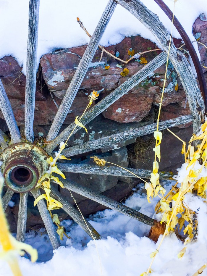 Montana Wagon Wheel I by Heidi Bannon
