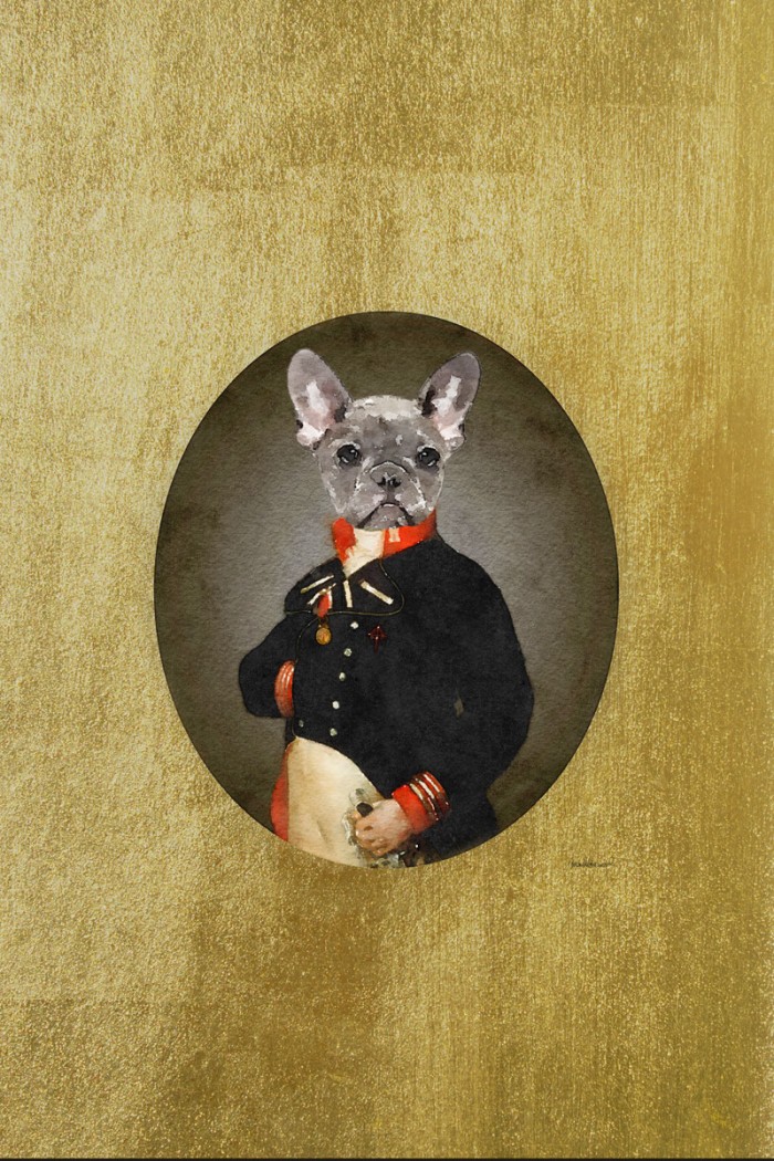 All Dressed up Frenchie by Amanda Greenwood