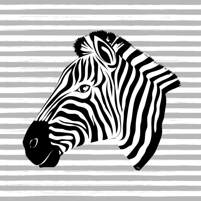 Striped Zebra by Martina Pavlova