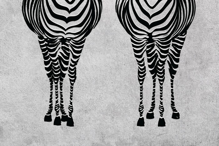 Zebras by Martina Pavlova