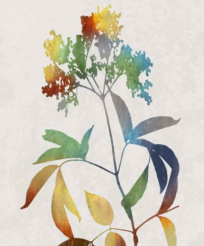 Colorful Nature V by Danielle Carson
