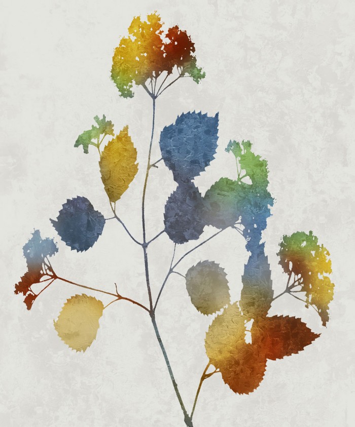 Colorful Nature VI by Danielle Carson