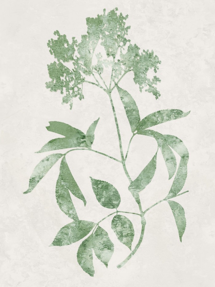 Nature Green V by Danielle Carson