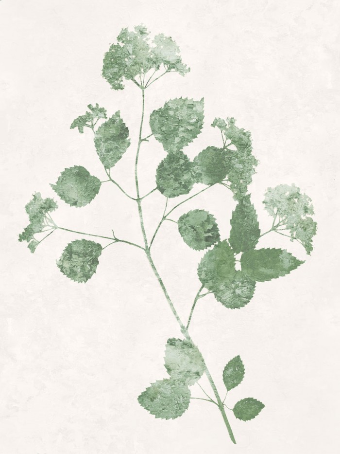 Nature Green VI by Danielle Carson